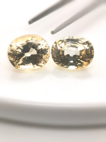 7305 - Pair - 13,86 ct. - 12,5 x 10,5 mm -