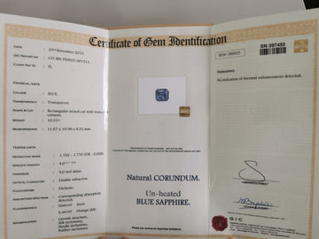 Fancy Pair - 20,87ct - No Heat